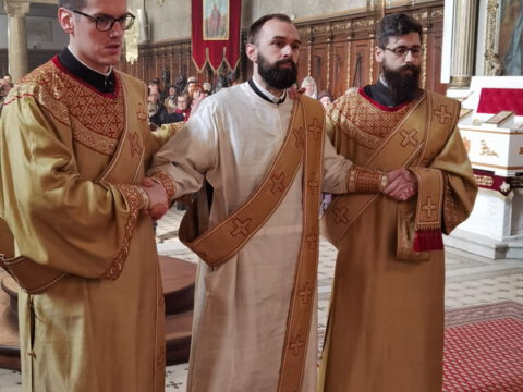 IMG_20230215_101936_resize