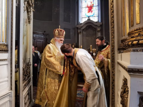 IMG_20230215_103046_resize