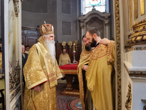 IMG_20230215_103052_resize