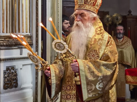 IMG_20230215_103225_resize