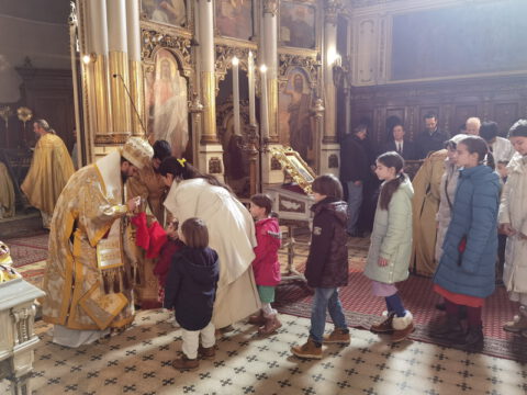 IMG_20230215_111352_resize