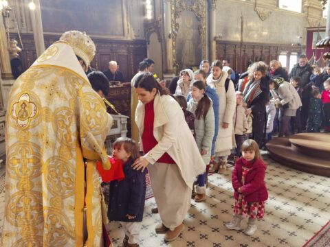 IMG_20230215_111403_resize