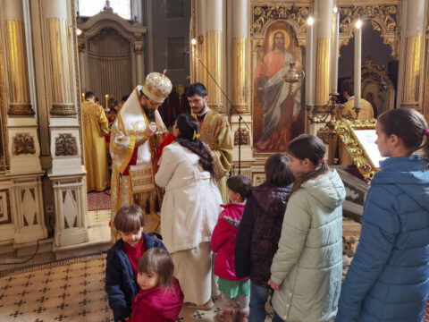 IMG_20230215_111412_resize