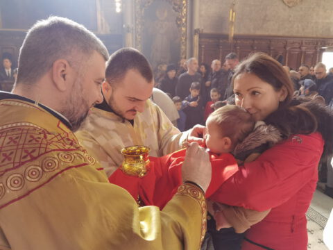 IMG_20230215_111426_resize