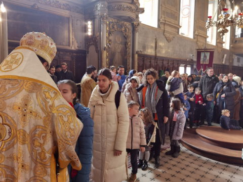 IMG_20230215_111444_resize