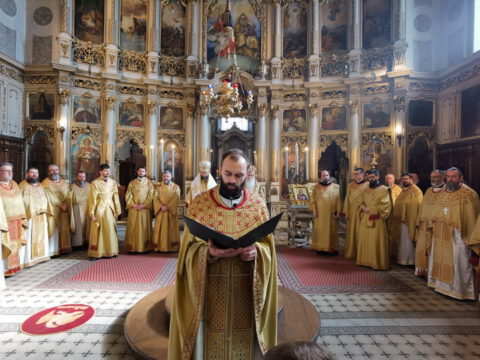 IMG_20230215_112624_resize