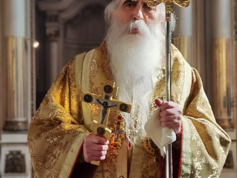 IMG_20230215_112808_resize