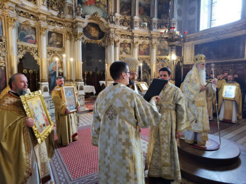 IMG_20230305_115055_resize