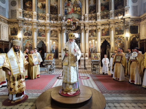 IMG_20230305_115623_resize