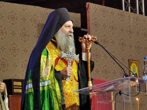 IMG_20230324_181837_resize