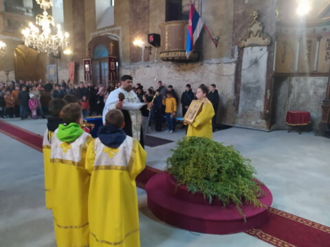 1681021132901_resize