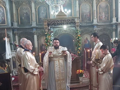 1681659531383_resize_resize