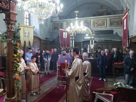 1681659531411_resize