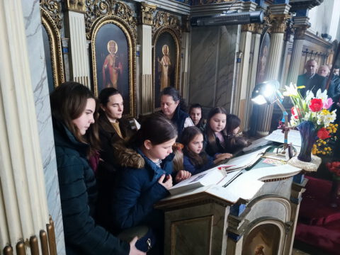 1681659531474_resize_resize