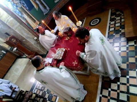 20230409_110025_resize