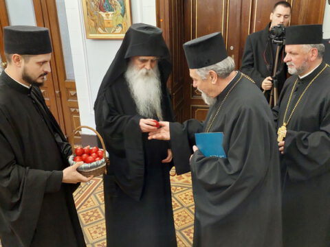 20230415_163427_resize