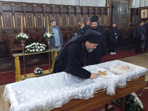 20230418_082038_resize