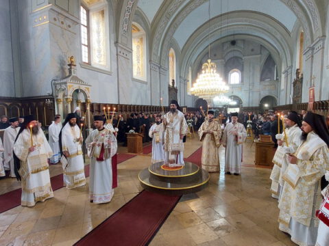 20230418_090056_resize