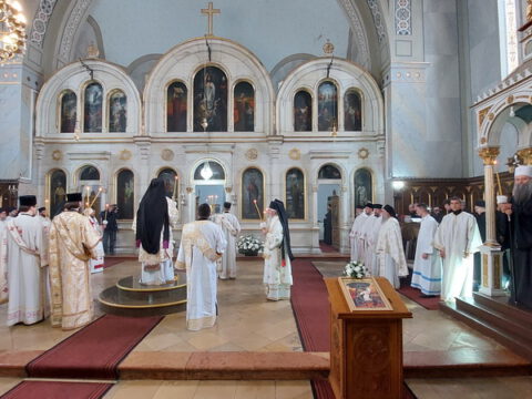 20230418_090131_resize