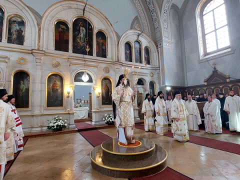 20230418_091543_resize