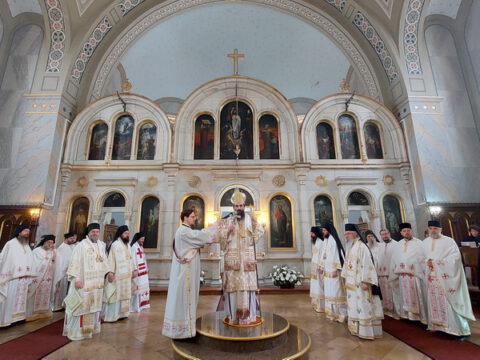 20230418_104146_resize