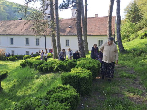 20230422_173213_resize