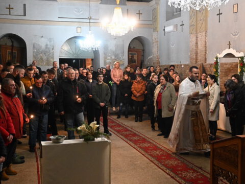 DSC_2662_resize_resize