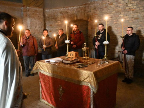 DSC_2665_resize_resize