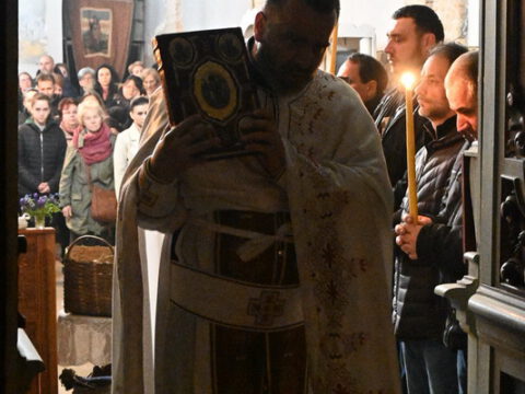 DSC_2667_resize_resize