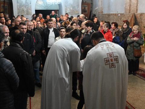 DSC_2675_resize_resize