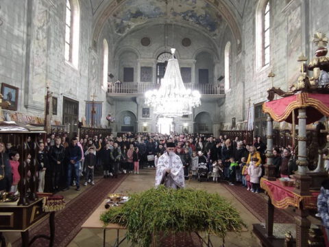 FB_IMG_1680970430384_resize