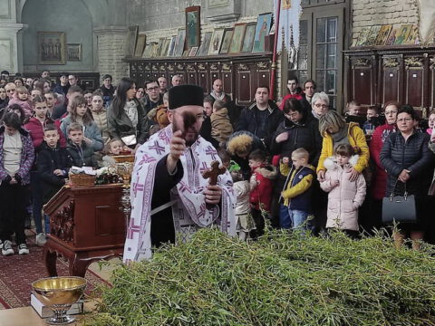 FB_IMG_1680970448114_resize