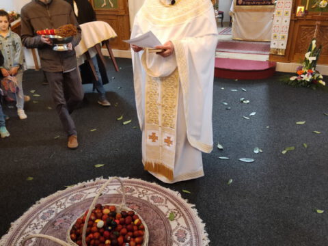 IMG-01bea899339bf7d46102f81bb84a448b-V_resize