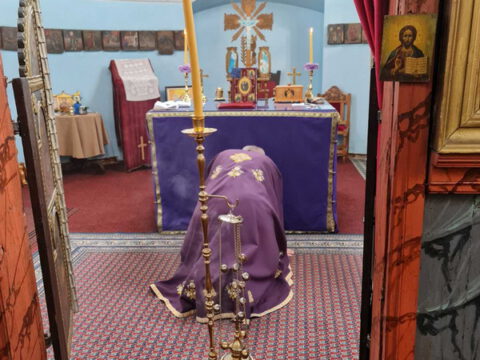 IMG-0624884bec8dc11b0abd4d555e778ba5-V_resize