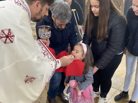 IMG-2bc7e5642152fb0bc62641cb110e4665-V_resize