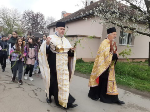 IMG-2edc93db93e02ba4a173d7cfa16065a3-V_resize