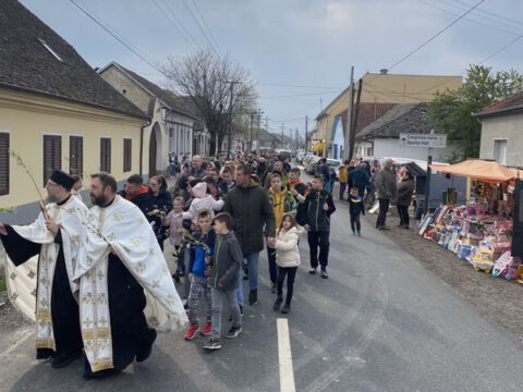 IMG-3349570401f3804875638a1799eb49f2-V_resize