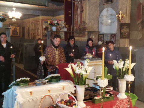 IMG-4711b7efac28ebabb111f86d302aa032-V_resize