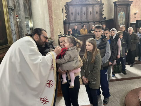 IMG-4fcc797dead87f500133d4c03f8d50fb-V_resize