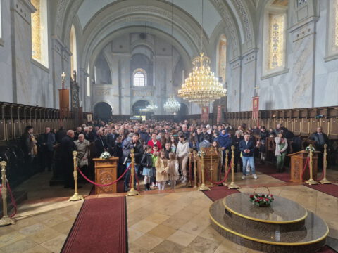 IMG-55b6bdcc303fe0452bf35b402fb2618f-V_resize