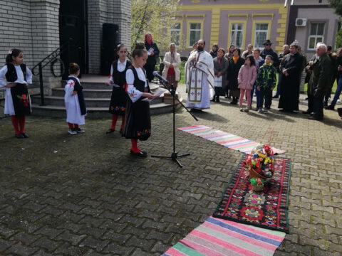 IMG-702ed1e003ad04b9b88c0df81f1793a4-V_resize