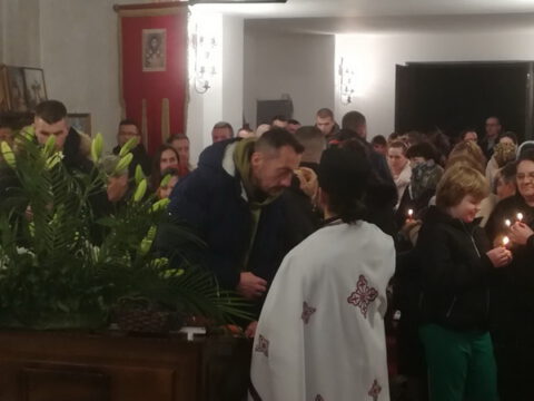 IMG-71902efaa2f096e078e8969ae1af7ebb-V_resize