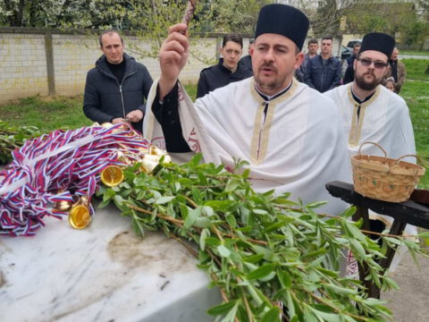 IMG-8413d0874b97e92b6ede0b7ea583dde7-V_resize