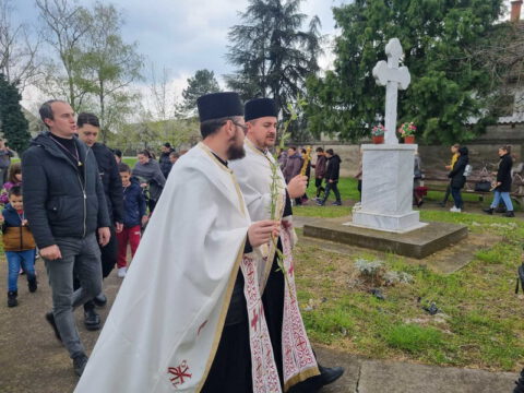 IMG-90ed8307c928e02d750a817443429a14-V_resize