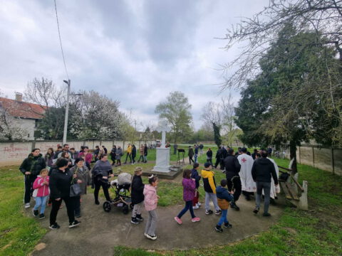 IMG-a6e8d6e7cb963c35775a7e6a297379cf-V_resize