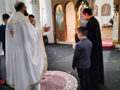 IMG-b6bd6e9875121e28ed6fb70c10500bf8-V_resize