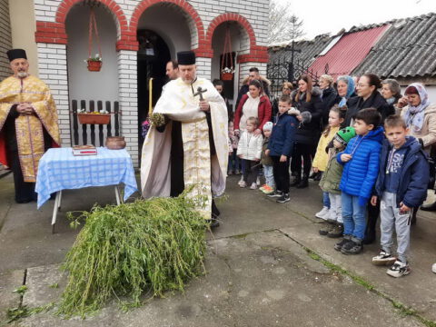 IMG-ba21fd3d0ce94dc458513e351e0d0679-V_resize