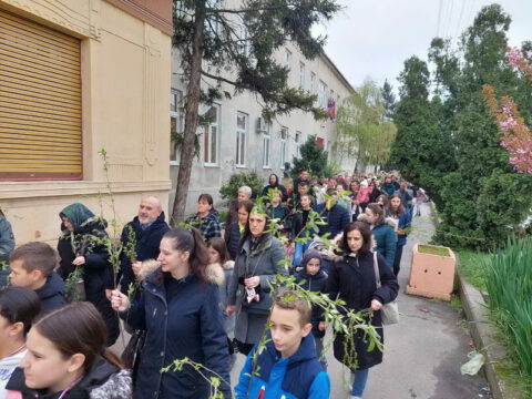 IMG-c7d62f52bcd684fccd94eedf2a3409c6-V_resize