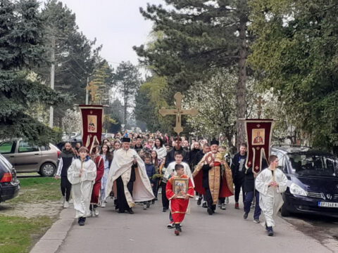 IMG-ee0c77ab569d683a62c977bf76480883-V_resize