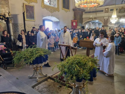 IMG-f0eaa35dc9be19865a16a62060abe782-V_resize